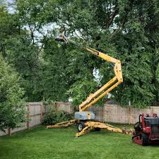 Best Arborist Consultation Services  in La Feria, TX